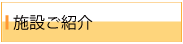 {݂Љ